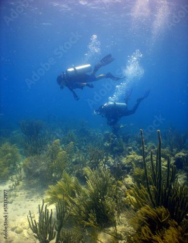 scuba diver in the caribbean sea, Venezuela