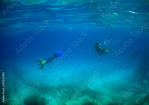 free diving and snorkeling in the caribbean sea, Venezuela © gustavo