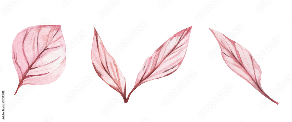 Fototapeta premium Beautiful natural pink hand painted peony flowers in pastel rose pale color isolated on white background clipart. Ideal for wedding decoration, boho rustic invitations.