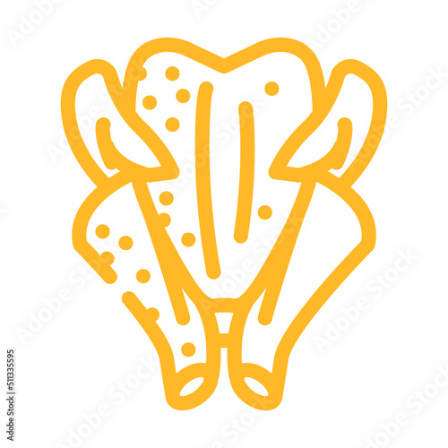 broiler chicken carcass color icon vector. broiler chicken carcass sign. isolated symbol illustration