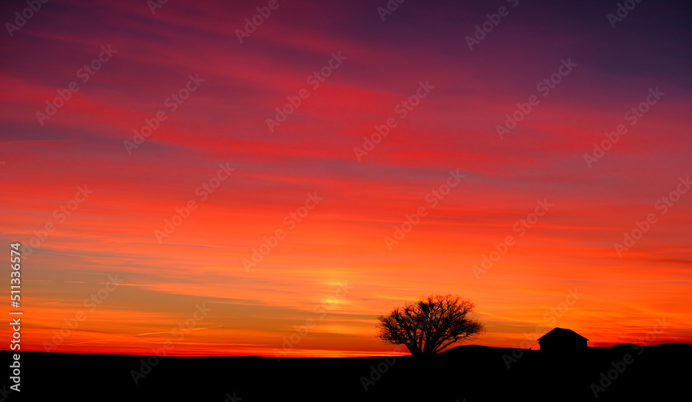 Old House Homestead and Tree in Winter Sunset Silhouette