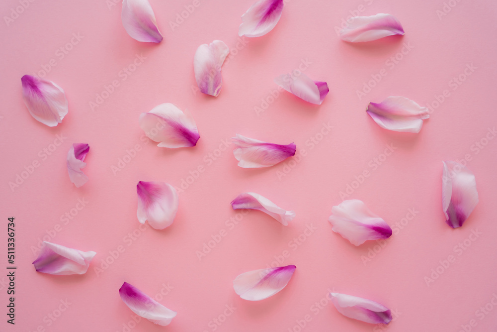 top view of fresh floral petals scattered on pink background. top view of fresh floral petals scattered on pink background.
