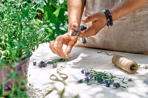 Alternative medicine. Collection and drying of herbs. Lavender essential oil. Herbalist woman preparing fresh scented organic herbs for natural herbal methods of treatment.