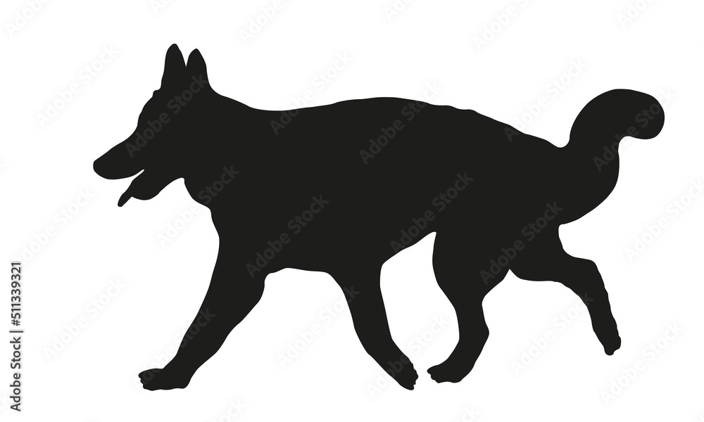 Running long-haired german shepherd dog puppy. Black dog silhouette. Pet animals. Isolated on a white background.