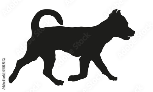Running jack russell terrier puppy. Black dog silhouette. Pet animals. Isolated on a white background.
