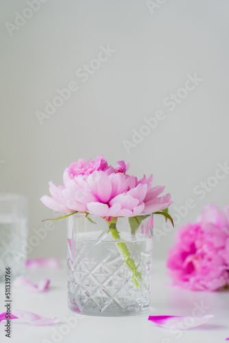 Fototapeta Naklejka Na Ścianę i Meble -  pink peony in faceted glass with pure water on white surface isolated on grey.