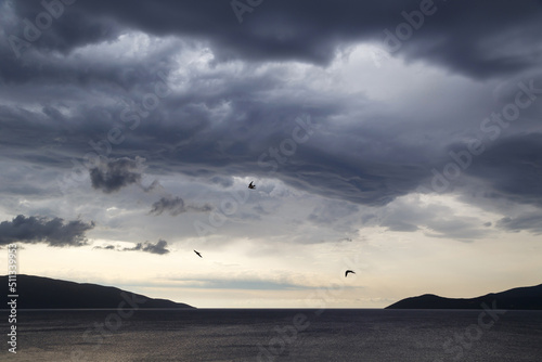 Dark dramatic sky with stormy clouds and swallows over sea