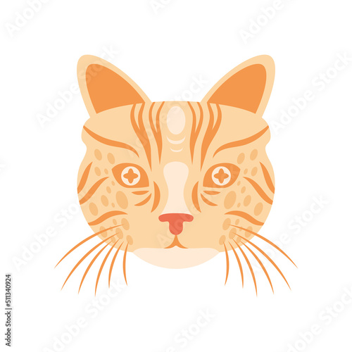 cat feline head