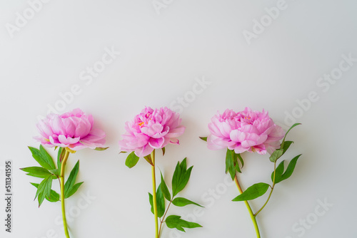 top view of pink peonies with green leaves on white background.