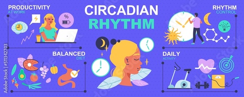 Circadian Rhythm Infographics