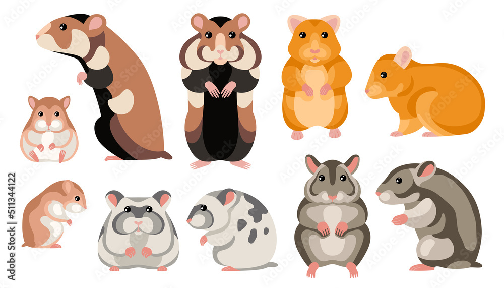 Hamster Cartoon Set Hamster Cartoon Set