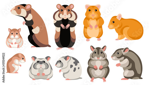 Hamster Cartoon Set