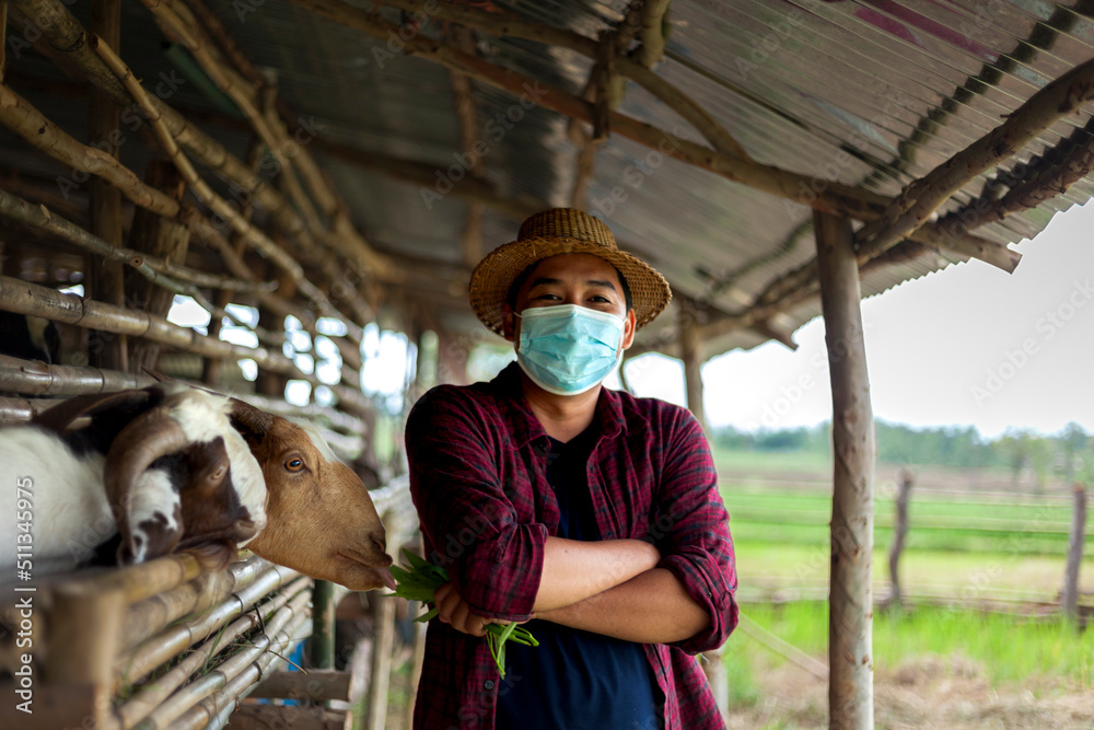 A Thai farmer is proudly standing in his goat farm with his arms crossed. A Thai farmer is proudly standing in his goat farm with his arms crossed.