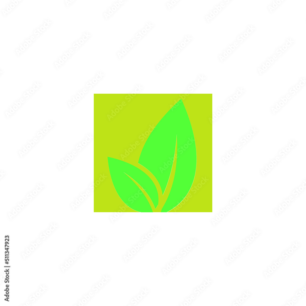 green leaf vector design logo set on white background