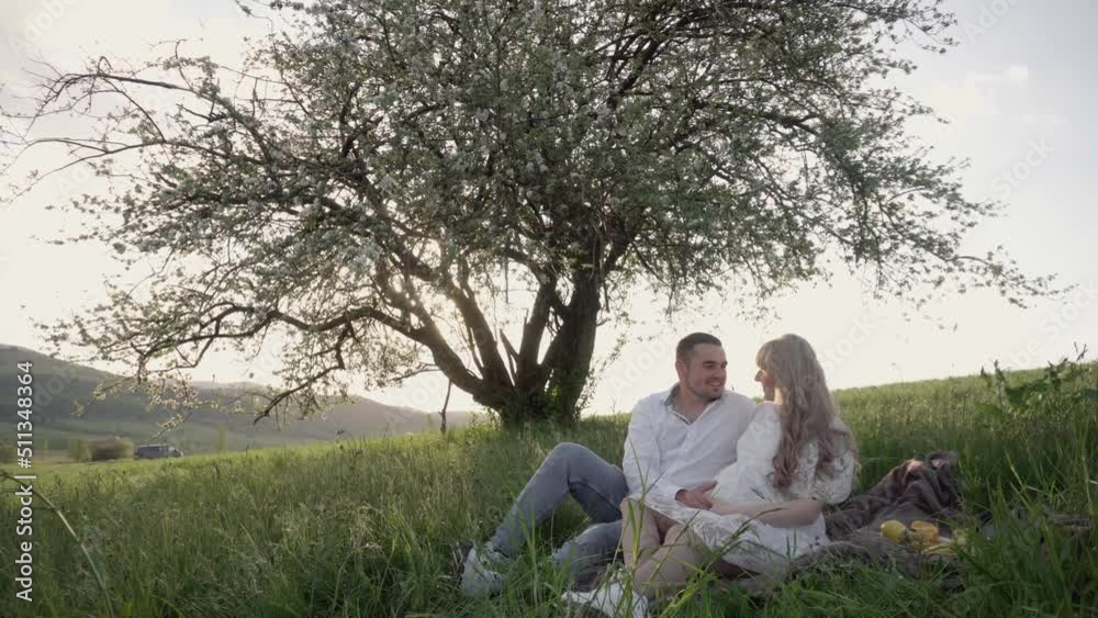 Young happy romantic pregnant couple in white shirt, dress, kissing, hugging, touching belly in nature in field near tree. Pregnant woman is expecting a baby. Expectant mom and dad, family. Young happy romantic pregnant couple in white shirt, dress, kissing, hugging, touching belly in nature in field near tree. Pregnant woman is expecting a baby. Expectant mom and dad, family.