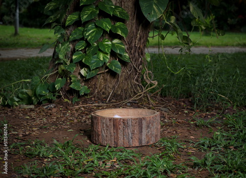 photo session set up for babies a wooden tub prop under a fresh green tree