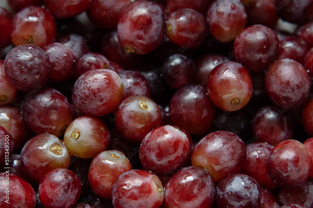 Bunch of Red Grapes, No Steams Bunch of Red Grapes, No Steams