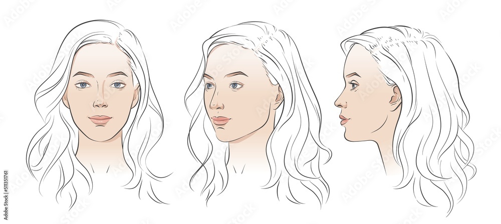 Vector woman face. Set of three different angles. Different view front, profile, three-quarter of a girl face. Vector woman face. Set of three different angles. Different view front, profile, three-quarter of a girl face.