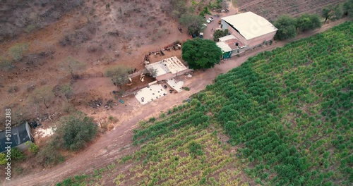 Aerial view of cow-calf farm rural life