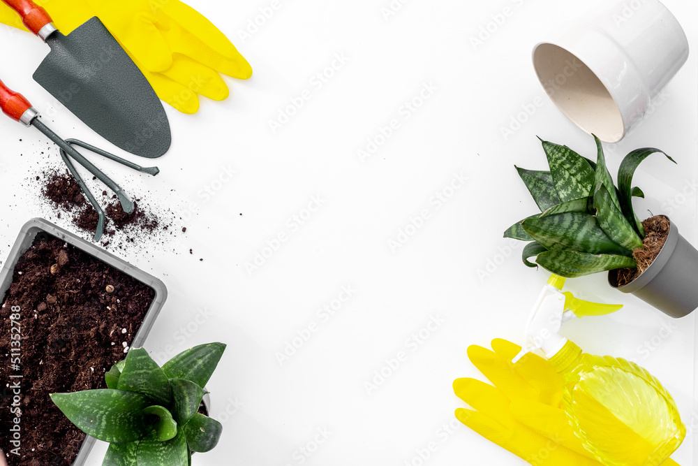 Indoor plants with garden accessories and tools. House gardening concept Indoor plants with garden accessories and tools. House gardening concept