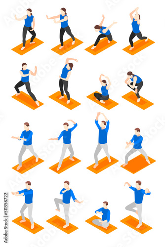 World Tai Chi and Qigong Isometric Set