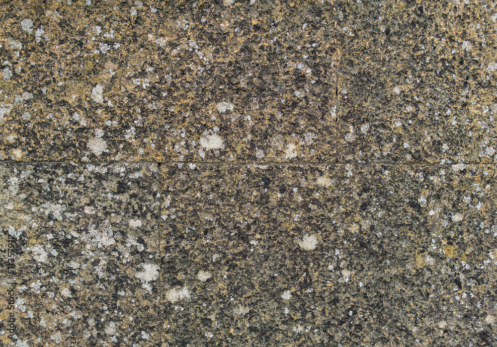 background, texture - a wall of even stone blocks, covered with lichen from old age background, texture - a wall of even stone blocks, covered with lichen from old age