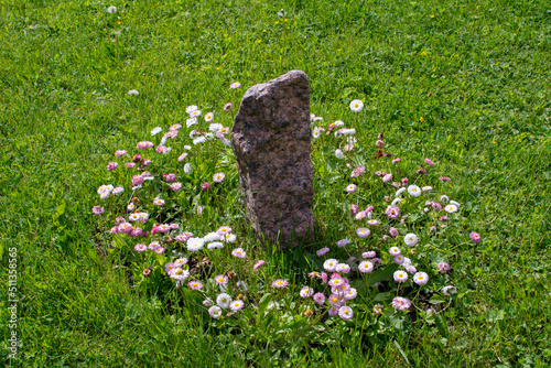 White daisies grow around the sundial