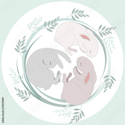Three sleeping bunnies