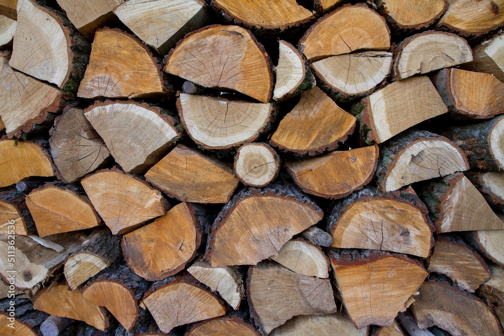 Pile of firewood stocked outdoors, some dry and some fresh Pile of firewood stocked outdoors, some dry and some fresh