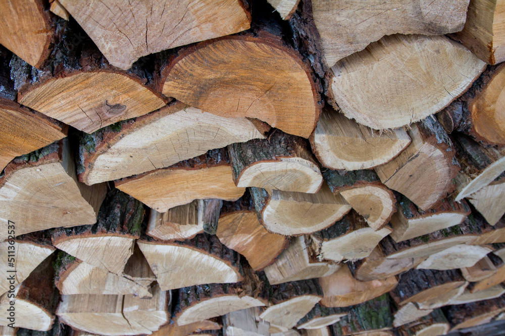 Pile of firewood stocked outdoors, some dry and some fresh Pile of firewood stocked outdoors, some dry and some fresh