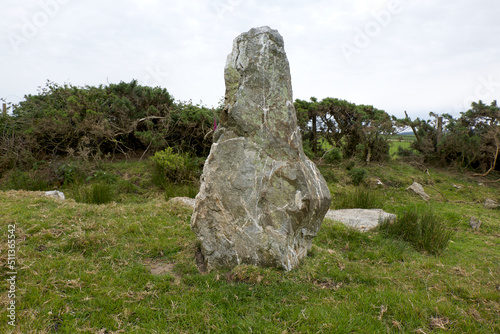 Nine Maidens stone row Cornwall all the stones are of quartz the north-eastern stone is prostrate and broken it measures 15 feet in length the tallest of those still standing is 6 feet 7 inches high 