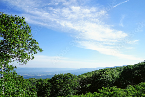 VIew of the valley from Shenandoah National Park at Big Meadows © zimmytws