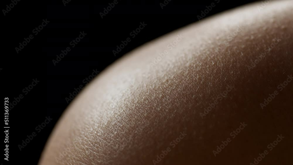 Macro shot of good-looking skin of young African American woman on black background | Skin texture shot for skin care cosmetics commercial Macro shot of good-looking skin of young African American woman on black background | Skin texture shot for skin care cosmetics commercial