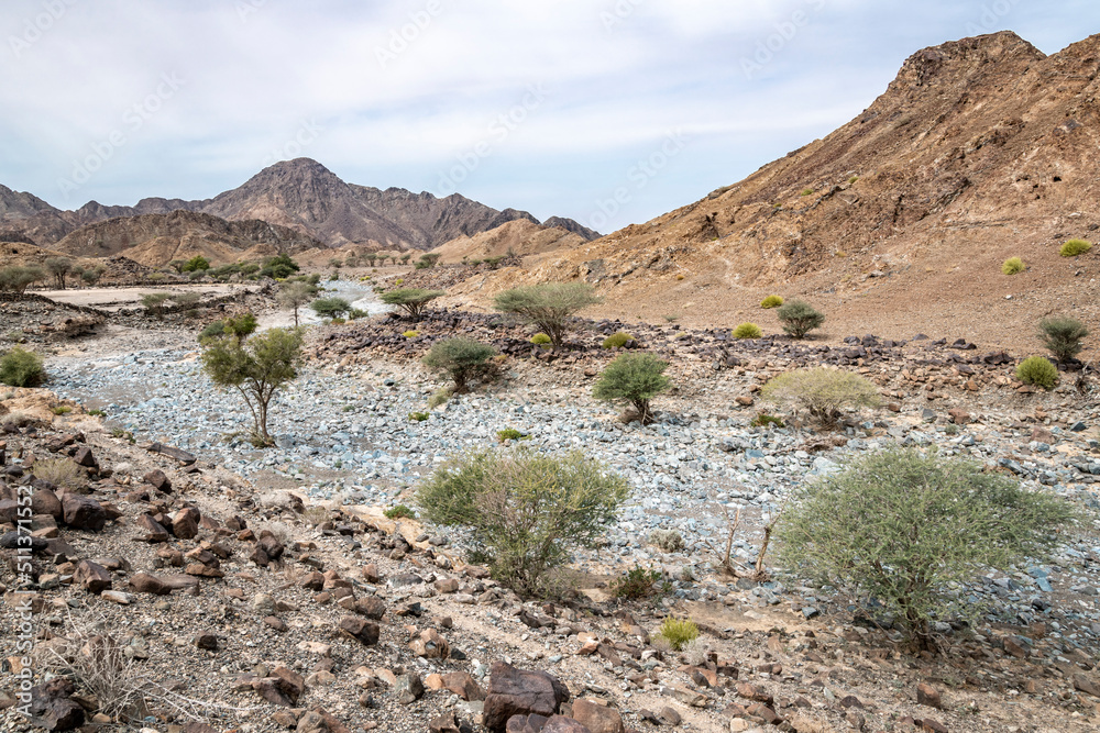 Dry riverbed in the mountains of Ras Al Khaimah Emirates, United Arab Emirates, Middle East, Arabian Peninsula 