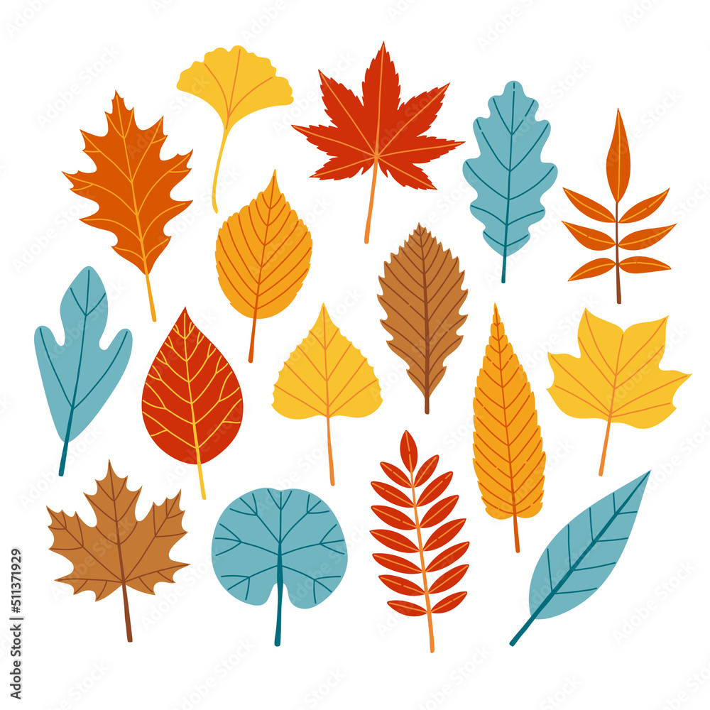 Autumn leaves set flat design vector illustration