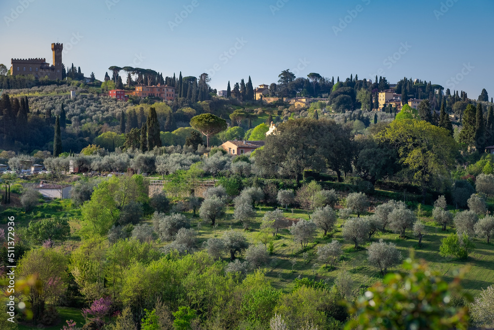 Hills, cypresses, olive trees and 'Torre del gallo' castle