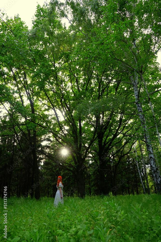 a red-haired beautiful girl in a light dress walks through the forest and looks at the sun. View from the back a red-haired beautiful girl in a light dress walks through the forest and looks at the sun. View from the back