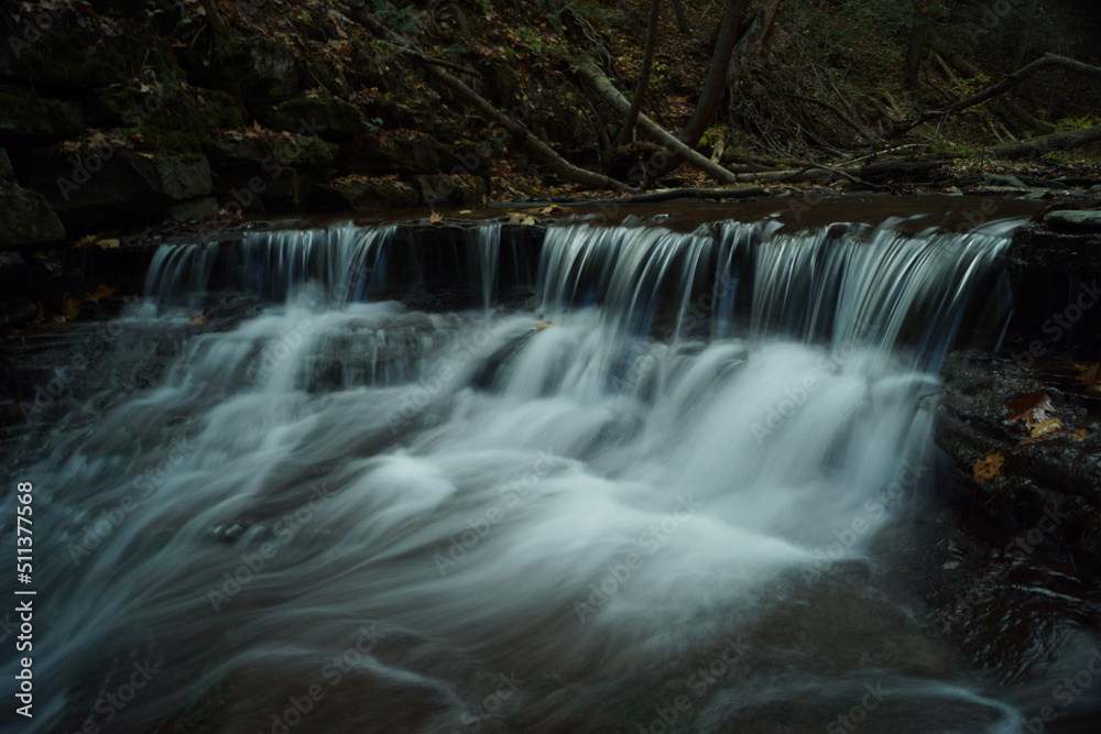 Fototapeta premium waterfall in the forest