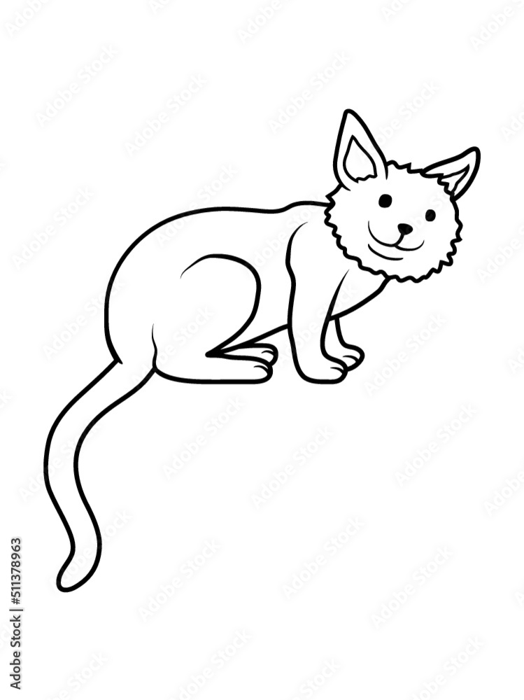 Süße liebe Katze sitzt Süße liebe Katze sitzt