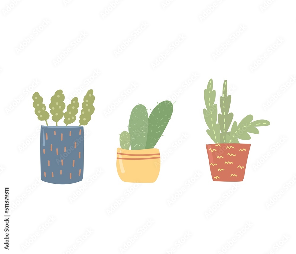 Illustration of flowers in pots. Drawn cartoon plants in colorful flowerpots. Illustration of flowers in pots. Drawn cartoon plants in colorful flowerpots.