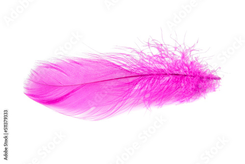 Elegant fluffy feather colorful isolated on the white background