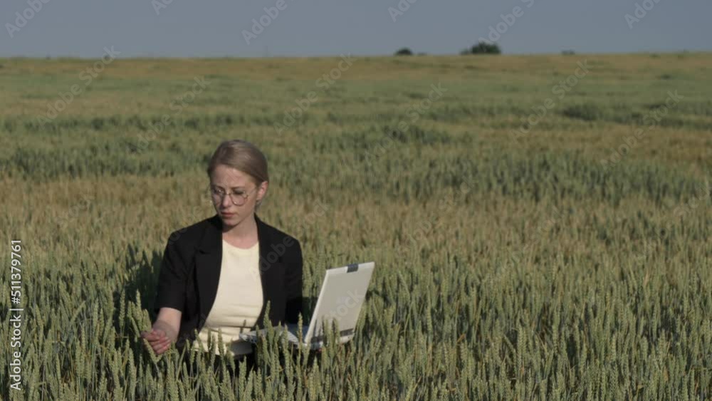 employee of an agricultural firm with a laptop checks the quality of wheat in the field employee of an agricultural firm with a laptop checks the quality of wheat in the field