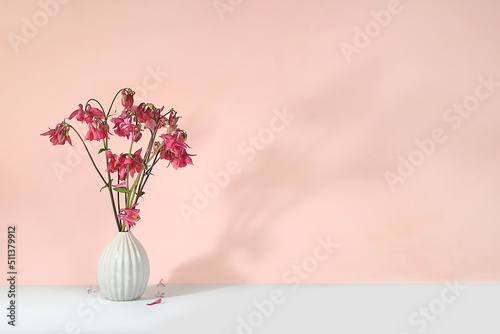 Billede på lærred Home interior with decor elements, beautiful spring aquilegia branches in a vase