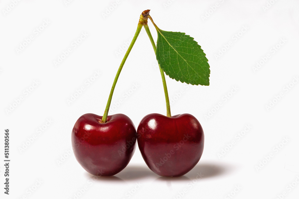 Ripe cherry on a branch with a leaf on a white background. Ripe cherry on a branch with a leaf on a white background.