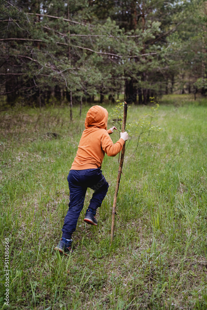 During the summer holidays, the boy runs through the forest holding a stick in his hand, hiking in nature, a tourist trip to the forest, the child runs along the path.