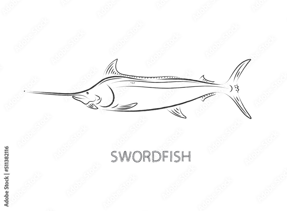 Fototapeta premium swordfish drawing isolated vector illustration