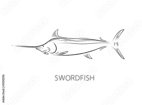 swordfish drawing isolated vector illustration