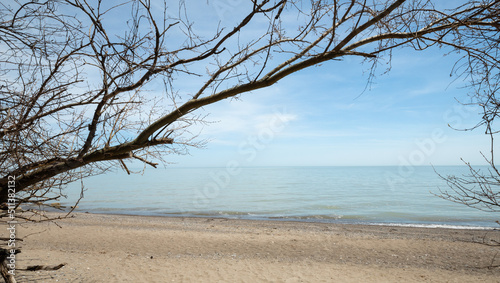 Fototapeta Naklejka Na Ścianę i Meble -  Lake Erie beach shoreline at Point Pelee National Park in Ontario Canada in springtime