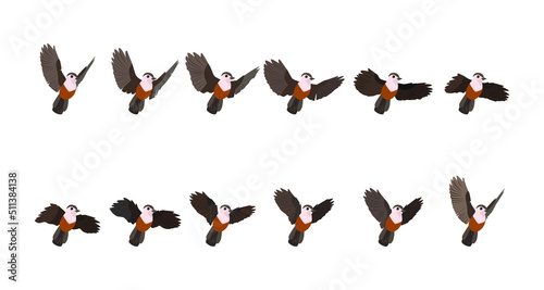 Full animation of bird flight. Sprites for animation.

