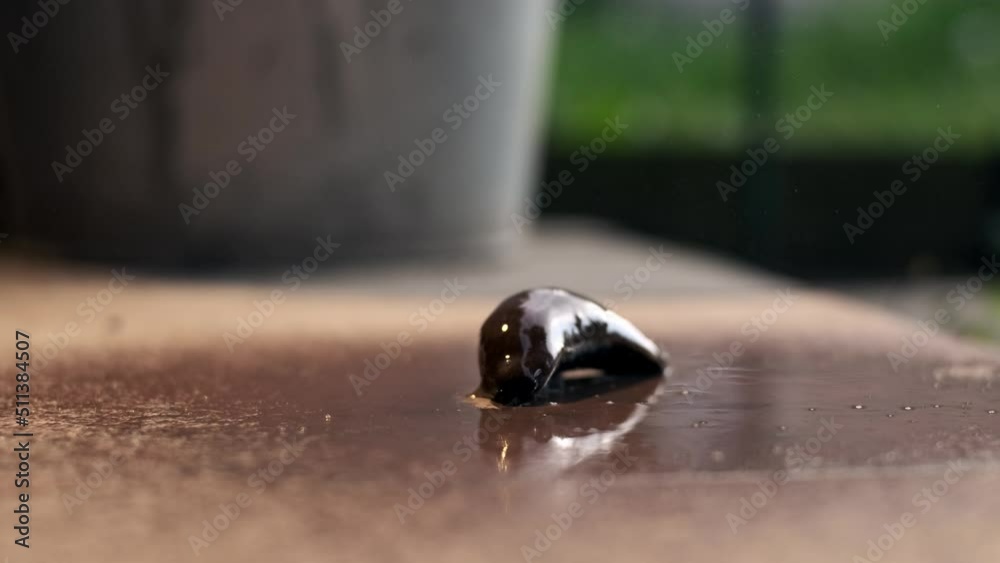 large brown Spanish slug is sprayed with ammonia and dies. concept of destruction of pests in garden. Not eco-friendly solution to problem with fruit and vegetable exterminators. large brown Spanish slug is sprayed with ammonia and dies. concept of destruction of pests in garden. Not eco-friendly solution to problem with fruit and vegetable exterminators.